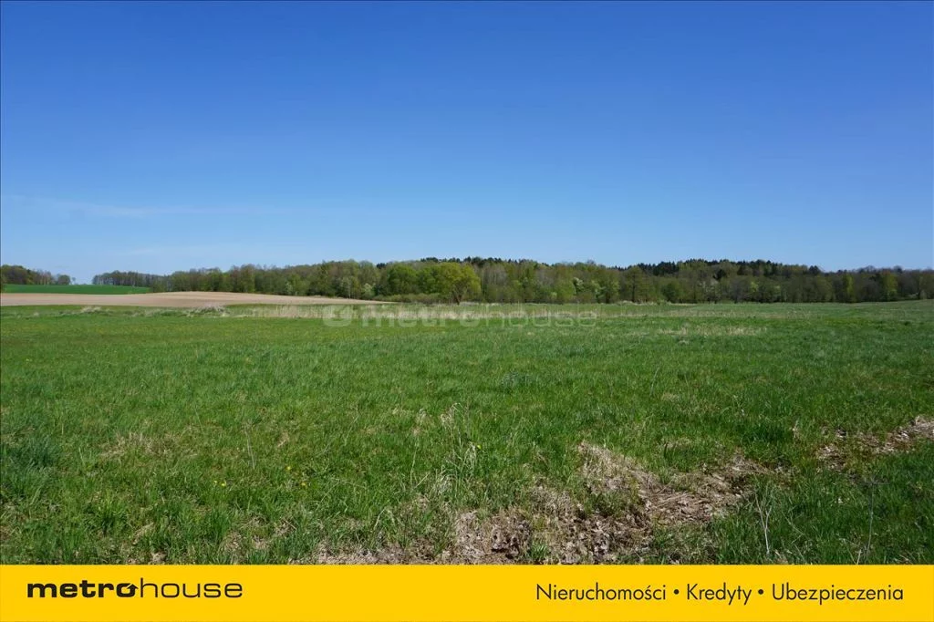 Działka 69 500,00 m², oferta nr , GYPY173, Leśniewo