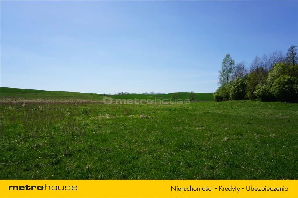Działka 69 500,00 m², oferta nr , GYPY173, Leśniewo