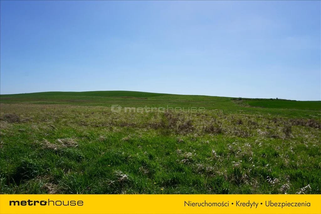 Działka 69 500,00 m², oferta nr , GYPY173, Leśniewo