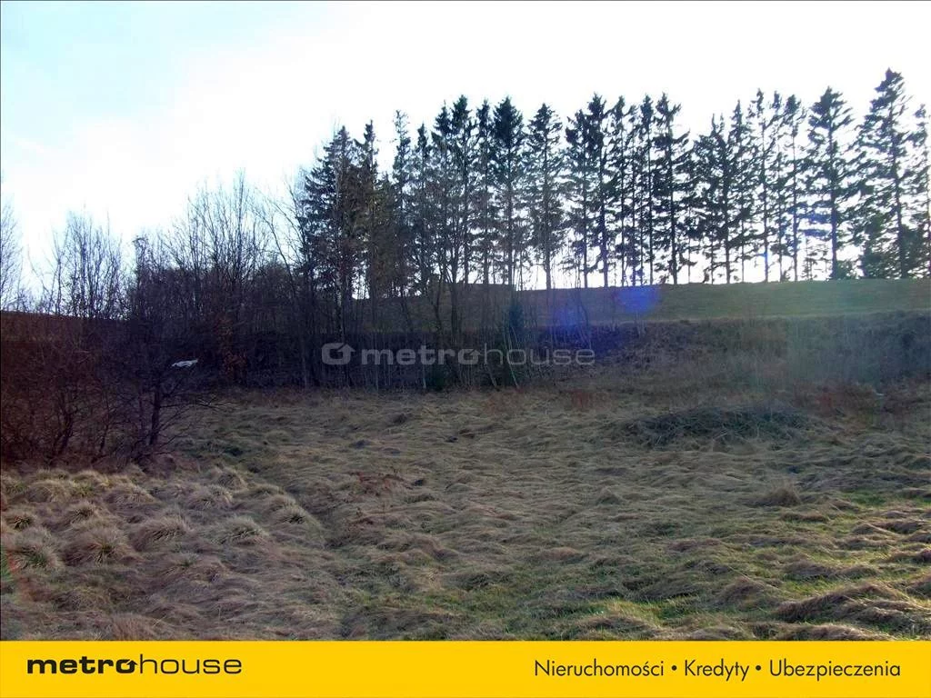 Działka 13 400,00 m², oferta nr , JAGO119, Leśno
