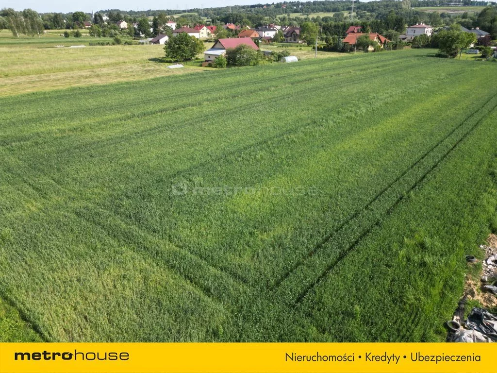 SGBUJO179 - zdjęcie nr 2