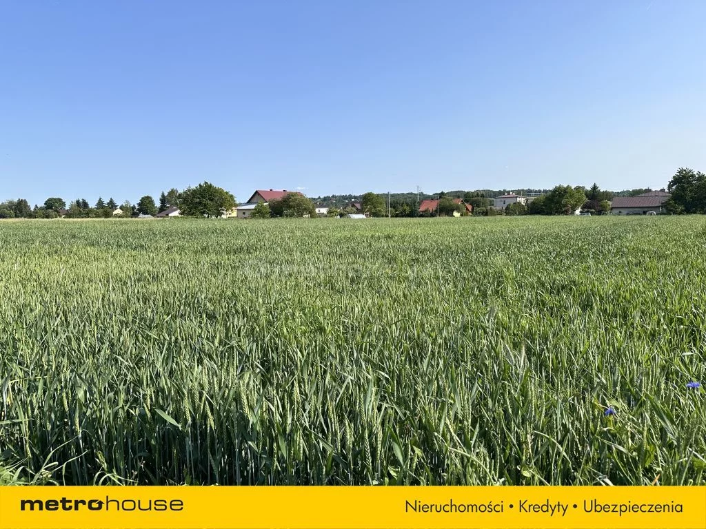 Działka 1 500,00 m², oferta nr , SGBUJO179, Korczyna, Leszczyny