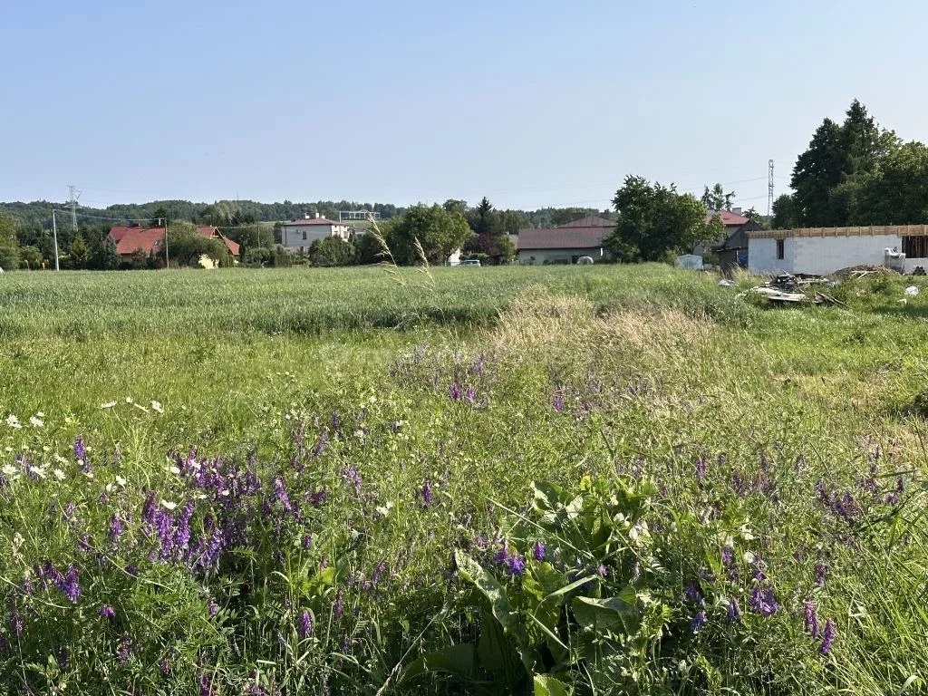 Działka 1 500,00 m², oferta nr , SGBUJO179, Korczyna, Leszczyny