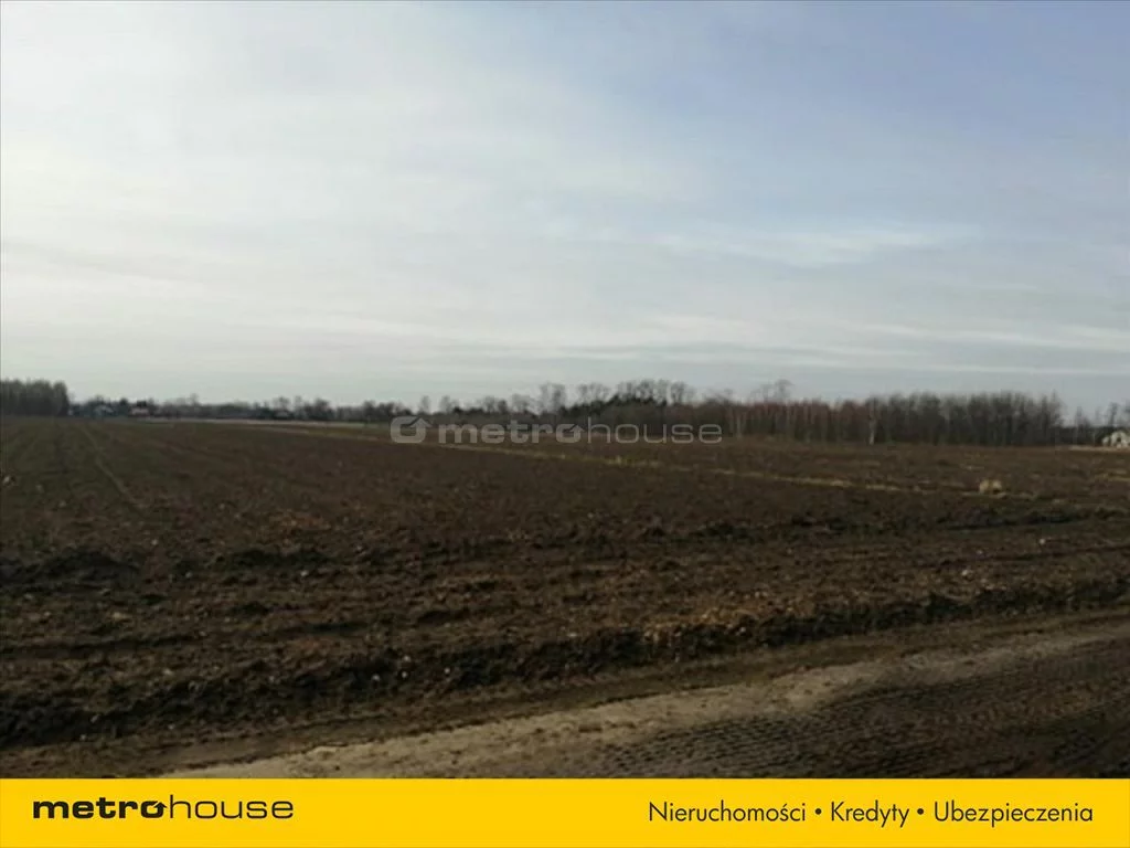 Działka 7 702,00 m², oferta nr , COBU687, Lipa