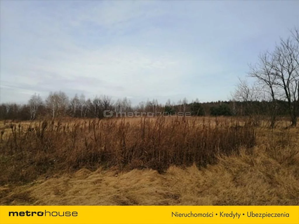 Działka 7 702,00 m², oferta nr , COBU687, Lipa