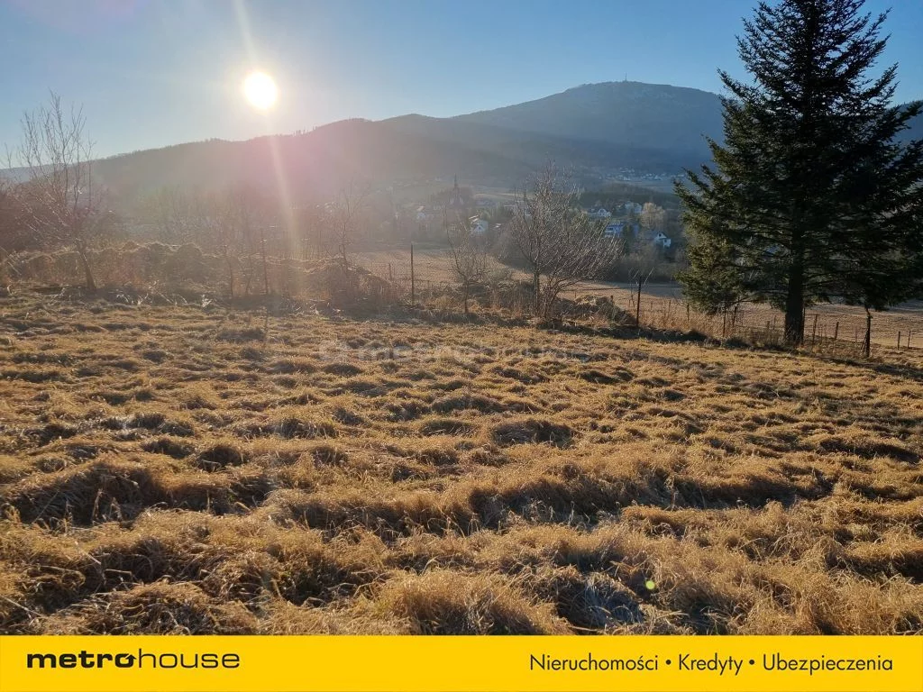Działka 5 511,00 m², oferta nr , SGMEZO497, Lipowa