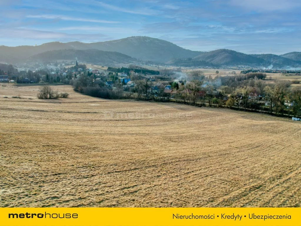 Działka 5 511,00 m², oferta nr , SGMEZO497, Lipowa