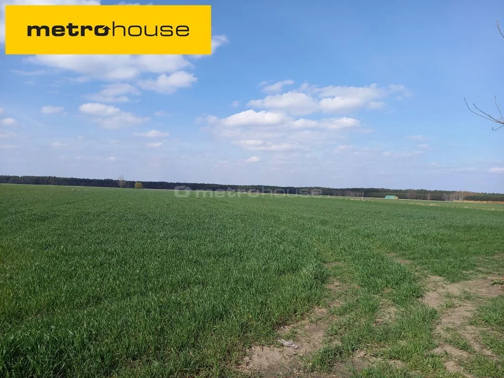 Działka 130 000,00 m², Lisiewice Małe, Sprzedaż