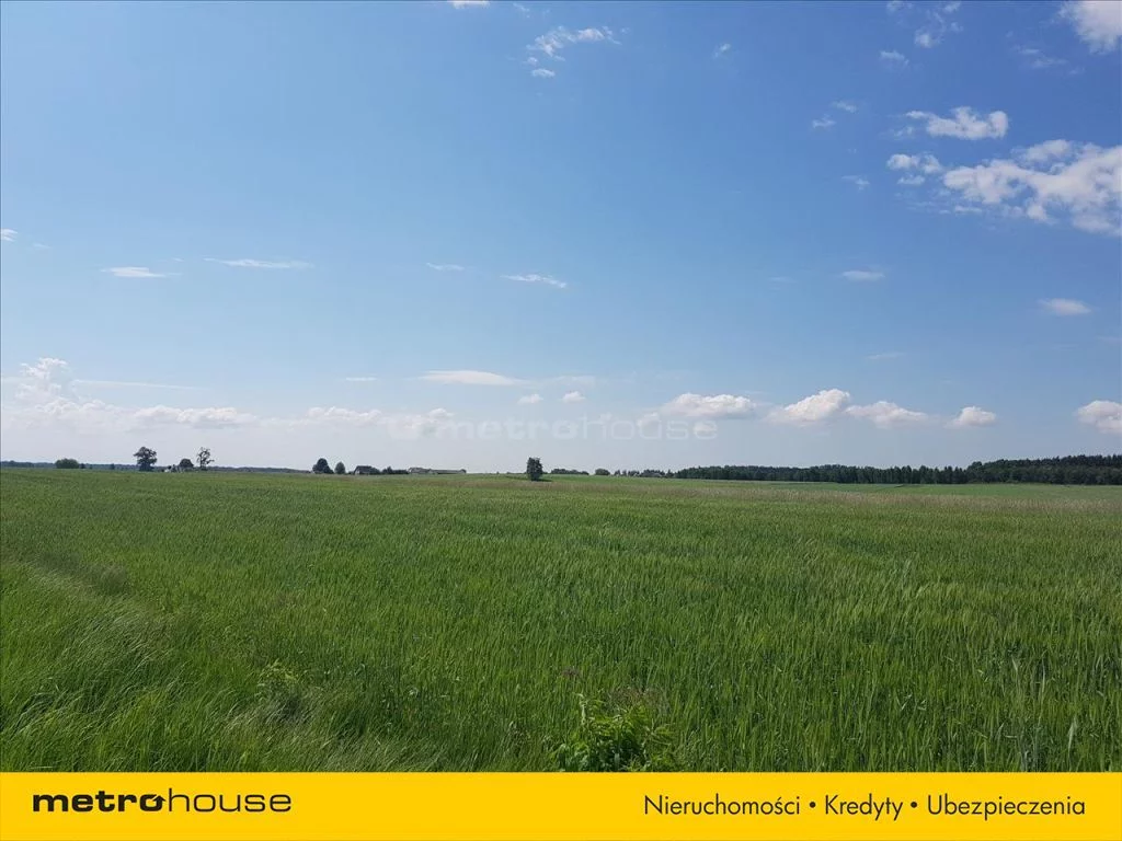 Działka 22 188,00 m², oferta nr , RYKE941, Łódź, Bałuty, Bałuty