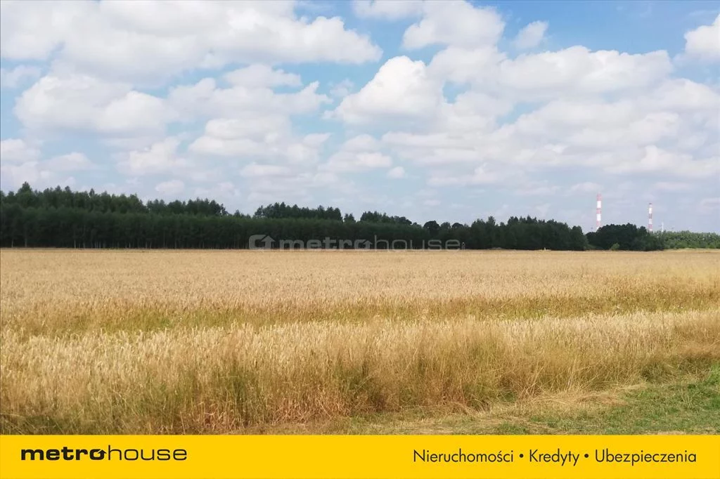 Działka 4 732,00 m², oferta nr , JYGY929, Łódź, Górna, Górna