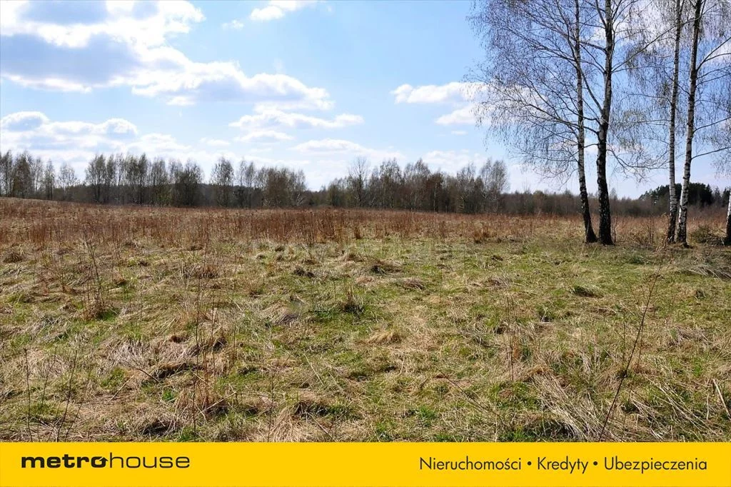 Działka 83 000,00 m², oferta nr , SGLONE961, Łomy