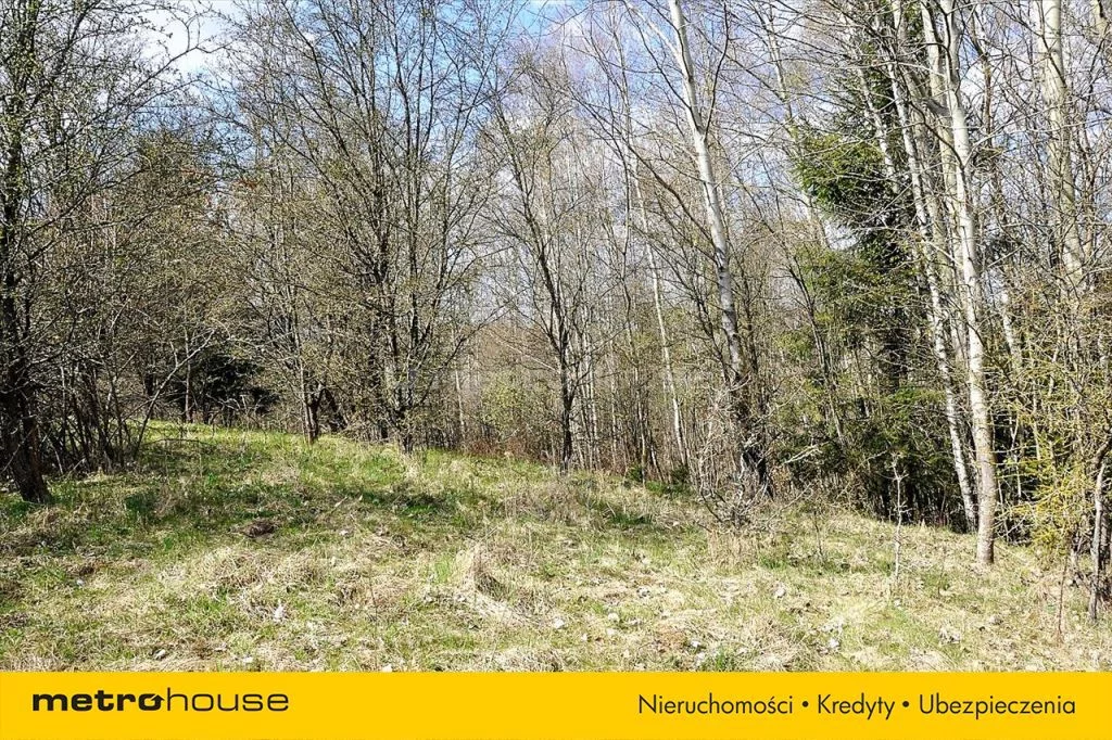Działka 83 000,00 m², oferta nr , SGLONE961, Łomy