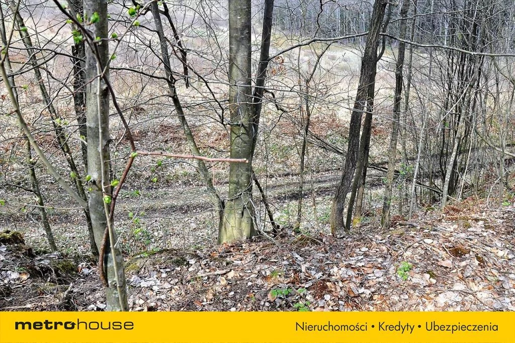 Działka 83 000,00 m², oferta nr , SGLONE961, Łomy