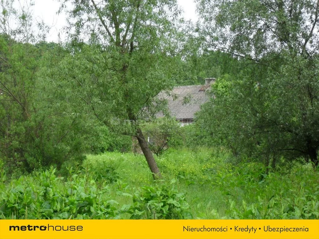 TOXY105 - zdjęcie nr 4