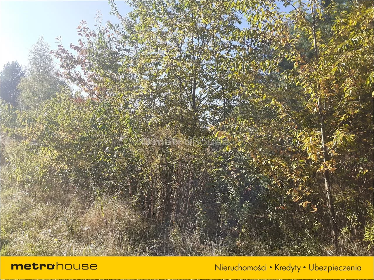 Działka 1 250,00 m², oferta nr , FAWO754, Łoś