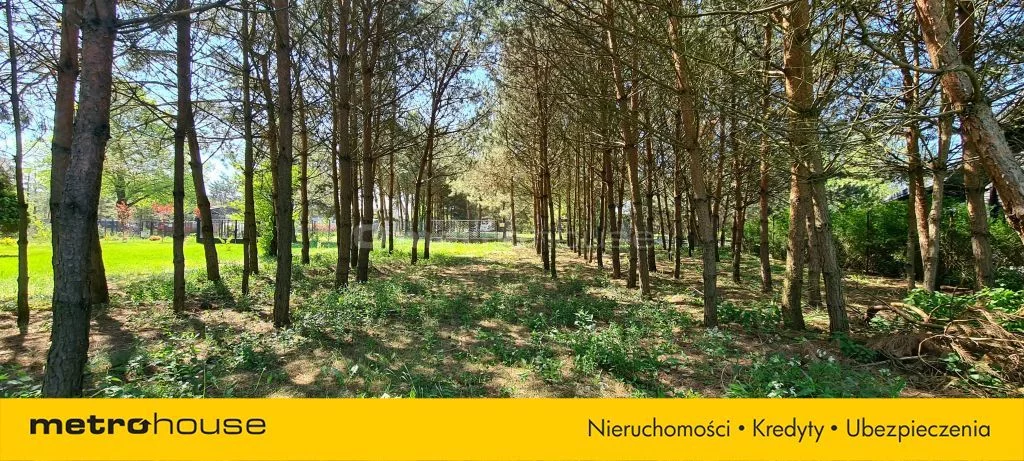 Działka 2 604,00 m², oferta nr , SGLUCU428, Lubaty