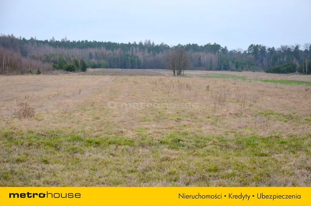 Działka 27 500,00 m², oferta nr , SGHAMA731, Lubień