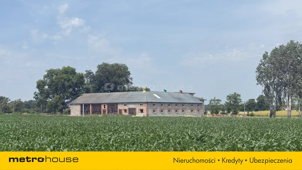 Działka 98 400,00 m², oferta nr , SGPUDU321, Lubików