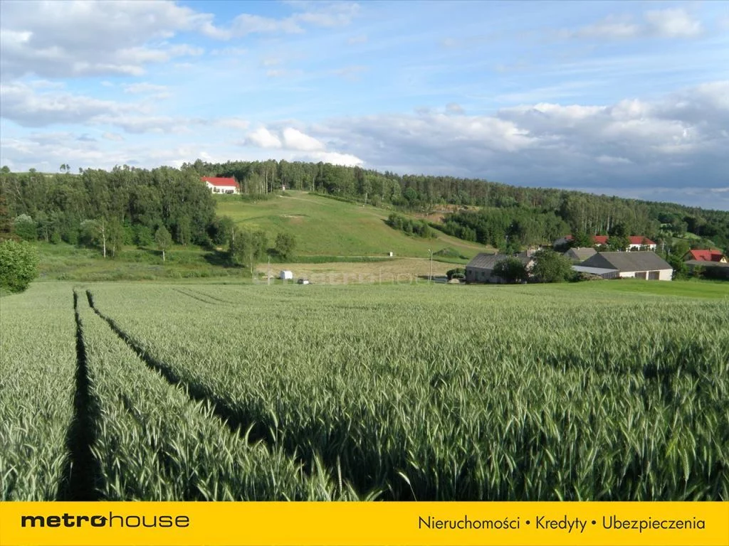 Działka 33 500,00 m², oferta nr , ZADU484, Lubstynek