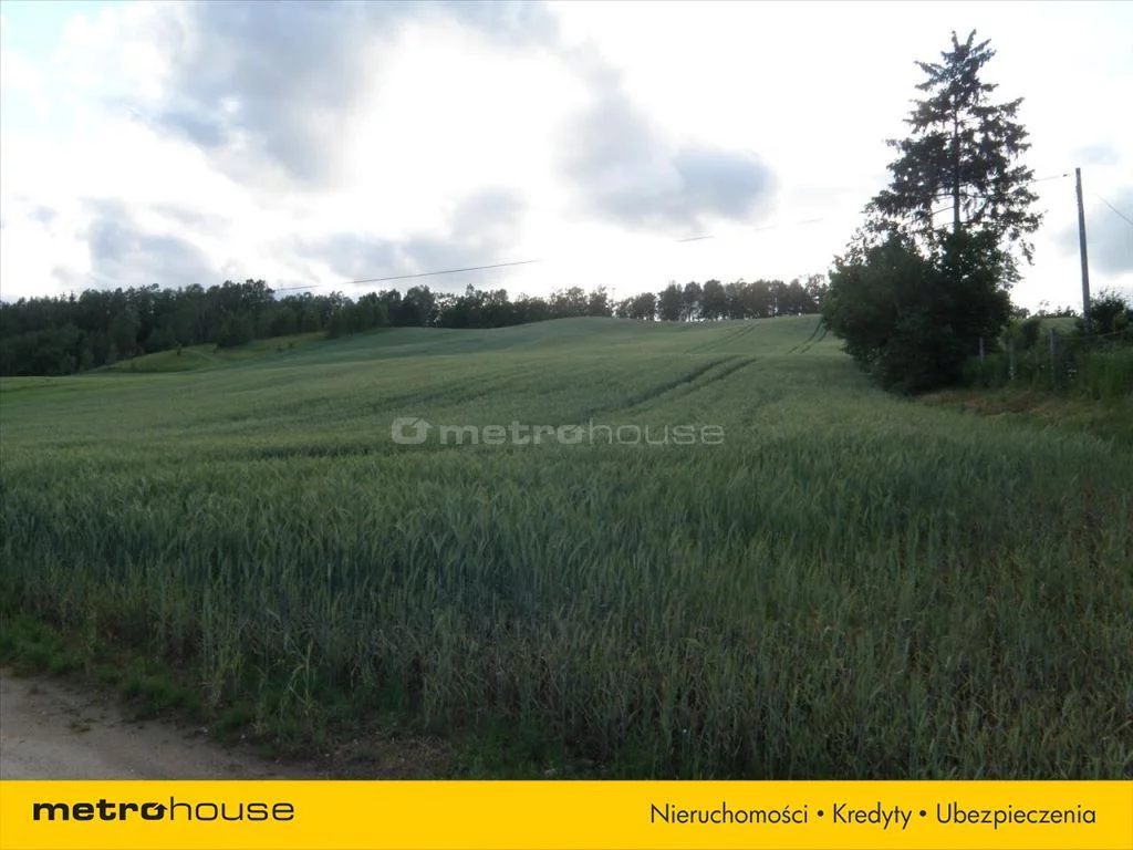 Działka 33 500,00 m², oferta nr , ZADU484, Lubstynek