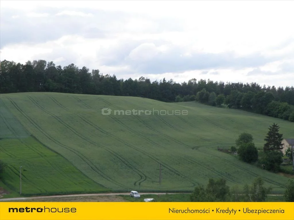 Działka 33 500,00 m², oferta nr , ZADU484, Lubstynek