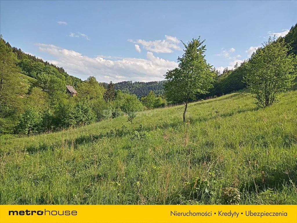 Działka 8 999,00 m², oferta nr , ZIDE474, Ludwikowice Kłodzkie