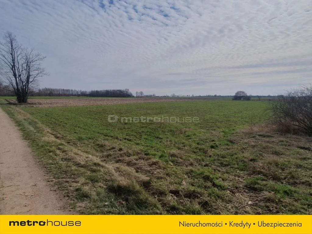 Działka 1 265,00 m², oferta nr , SEKY415, Ludwinów