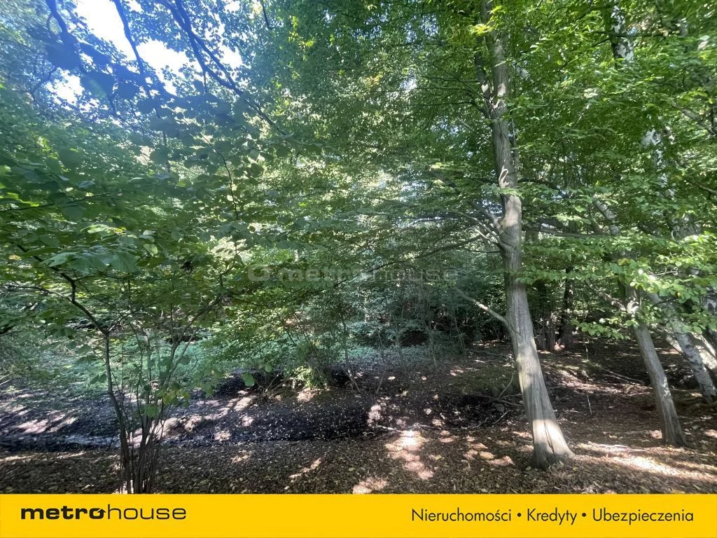 Działka 25 879,00 m², oferta nr , SGZUKY477, Mąkoszyce