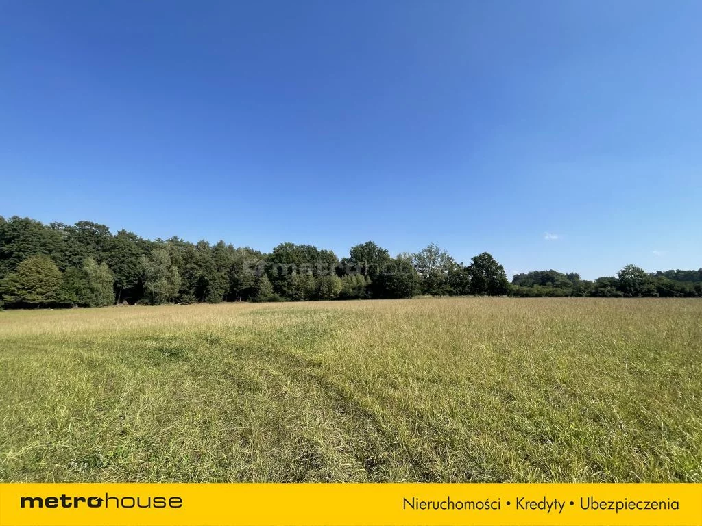 Działka 25 879,00 m², oferta nr , SGZUKY477, Mąkoszyce