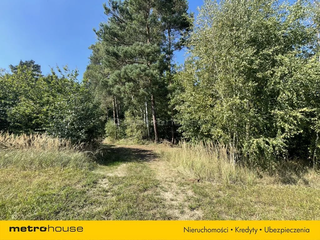 Działka 25 879,00 m², oferta nr , SGZUKY477, Mąkoszyce