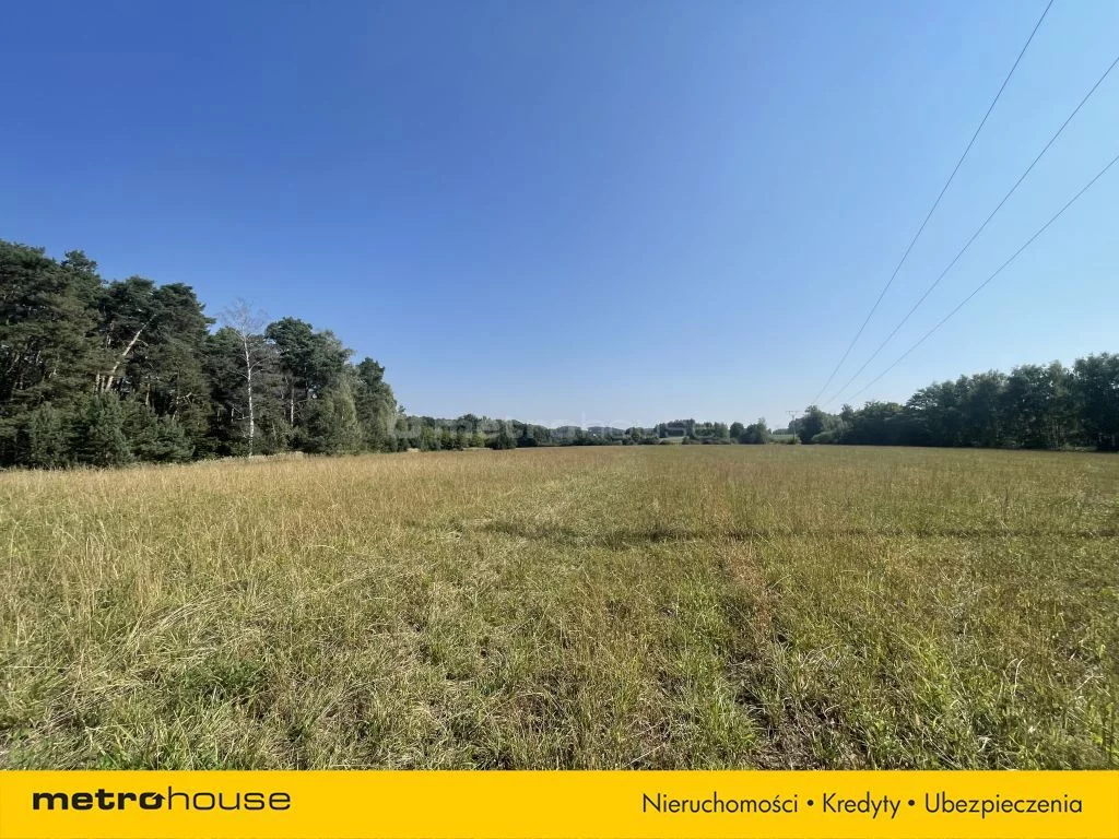 Działka 25 879,00 m², oferta nr , SGZUKY477, Mąkoszyce