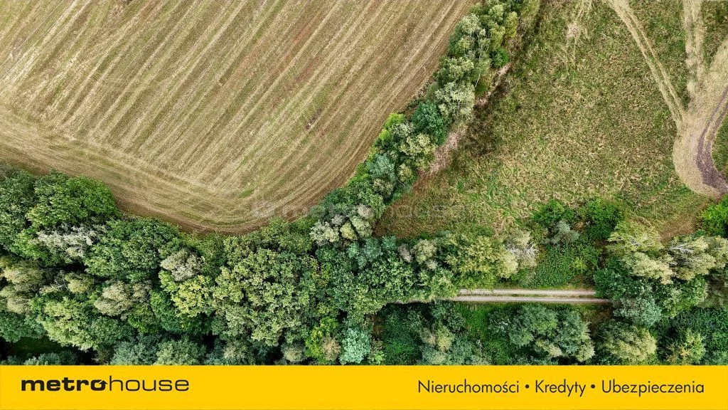 Działka 25 879,00 m², oferta nr , SGZUKY477, Mąkoszyce