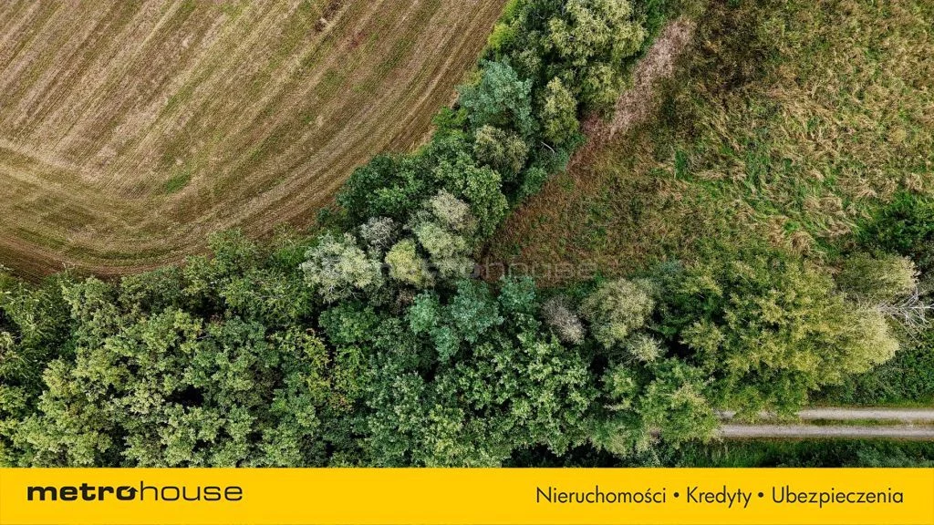 Działka 1 639,00 m², oferta nr , SGTOFA446, Mąkoszyce