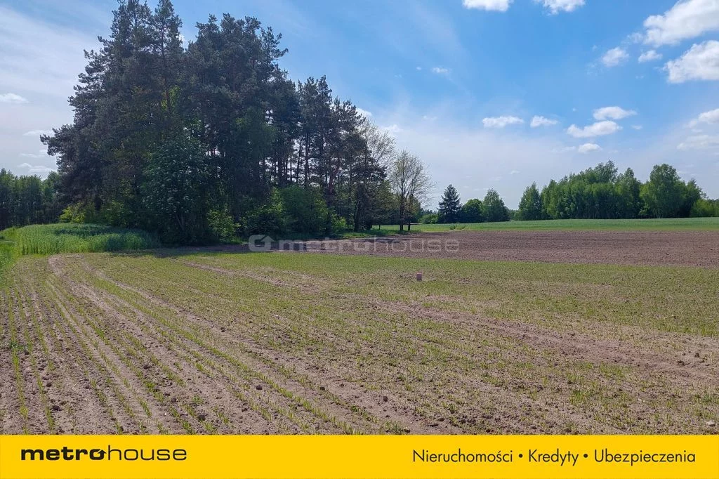 Działka 1 637,00 m², oferta nr , BEJO575, Malachin