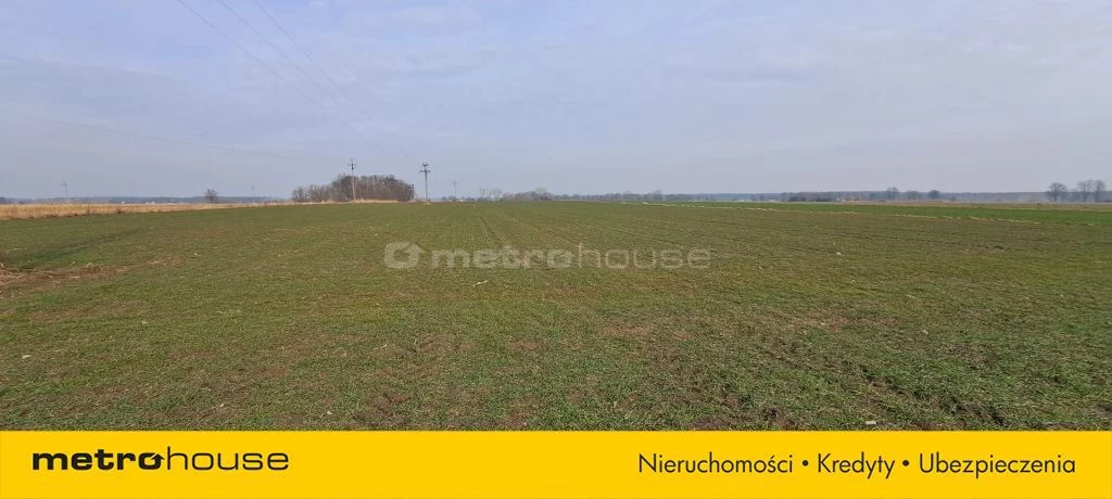 SGCITU586 - zdjęcie nr 4