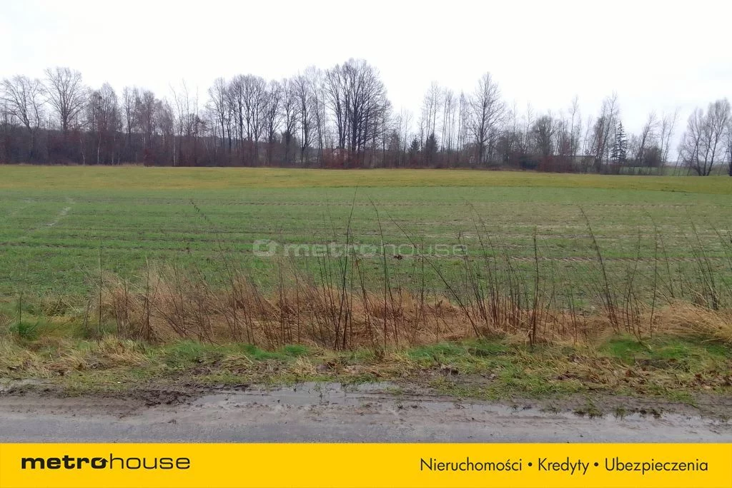 Działka 43 300,00 m², oferta nr , SGJOPU241, Ząbrowo, Malinowa