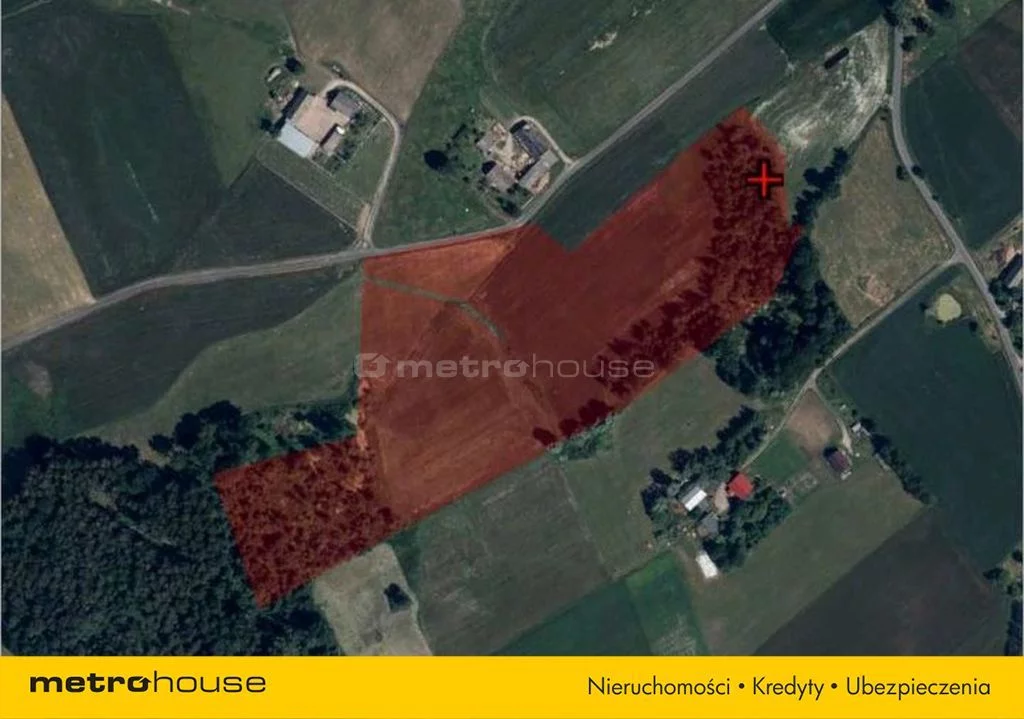 Działka 43 300,00 m², oferta nr , SGJOPU241, Ząbrowo, Malinowa