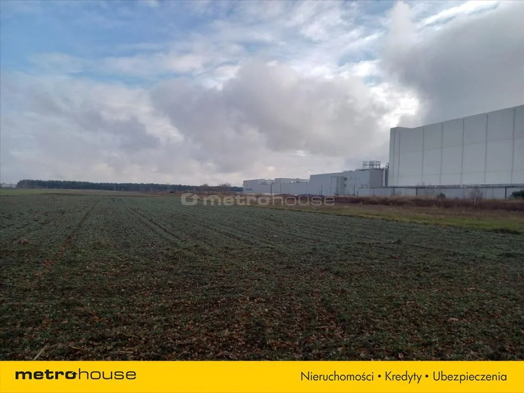 Działka 7 800,00 m², oferta nr , RITY546, Małopole