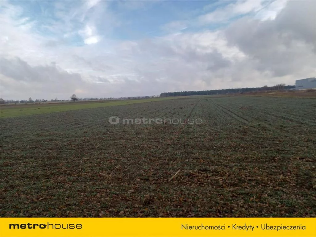 Działka 37 000,00 m², oferta nr , DITE870, Małopole