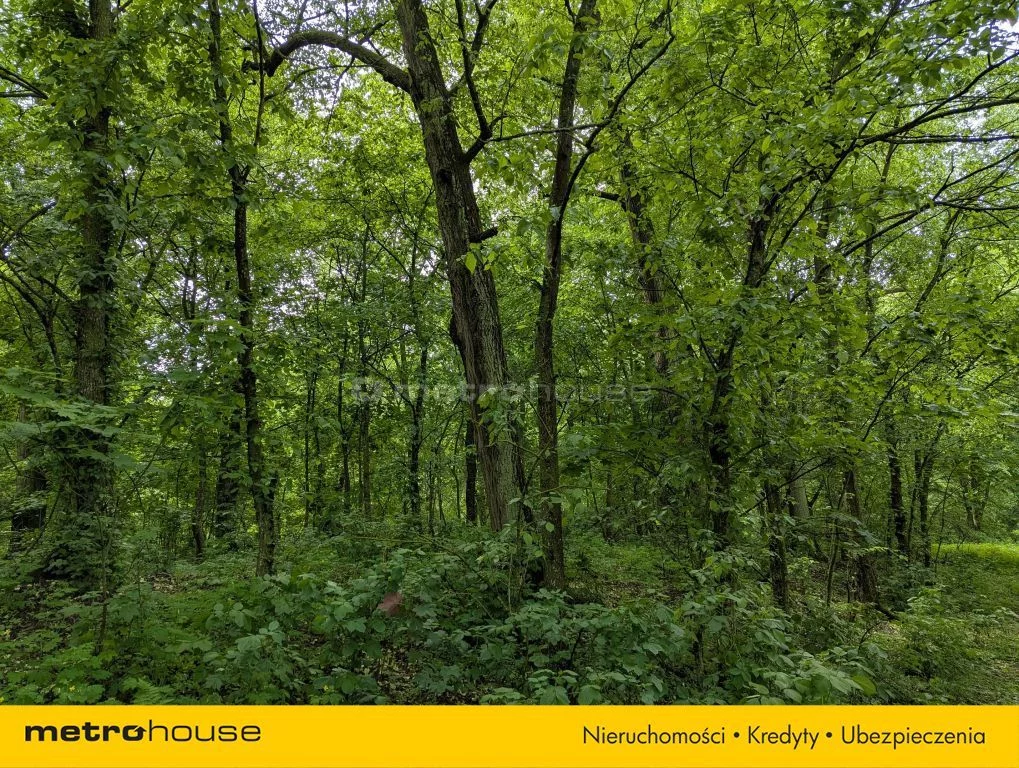 Działka 72 700,00 m², oferta nr , SGCUPY363, Maruszewiec