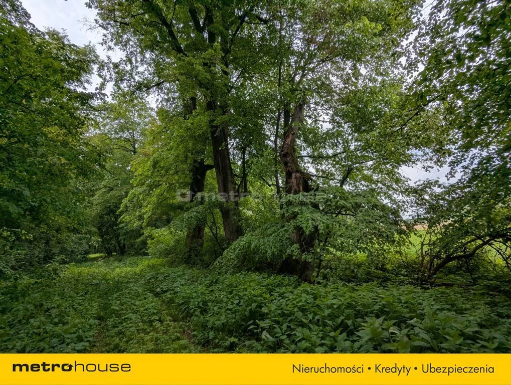 Działka 72 700,00 m², oferta nr , SGCUPY363, Maruszewiec