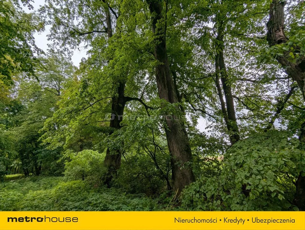 Działka 72 700,00 m², oferta nr , SGCUPY363, Maruszewiec