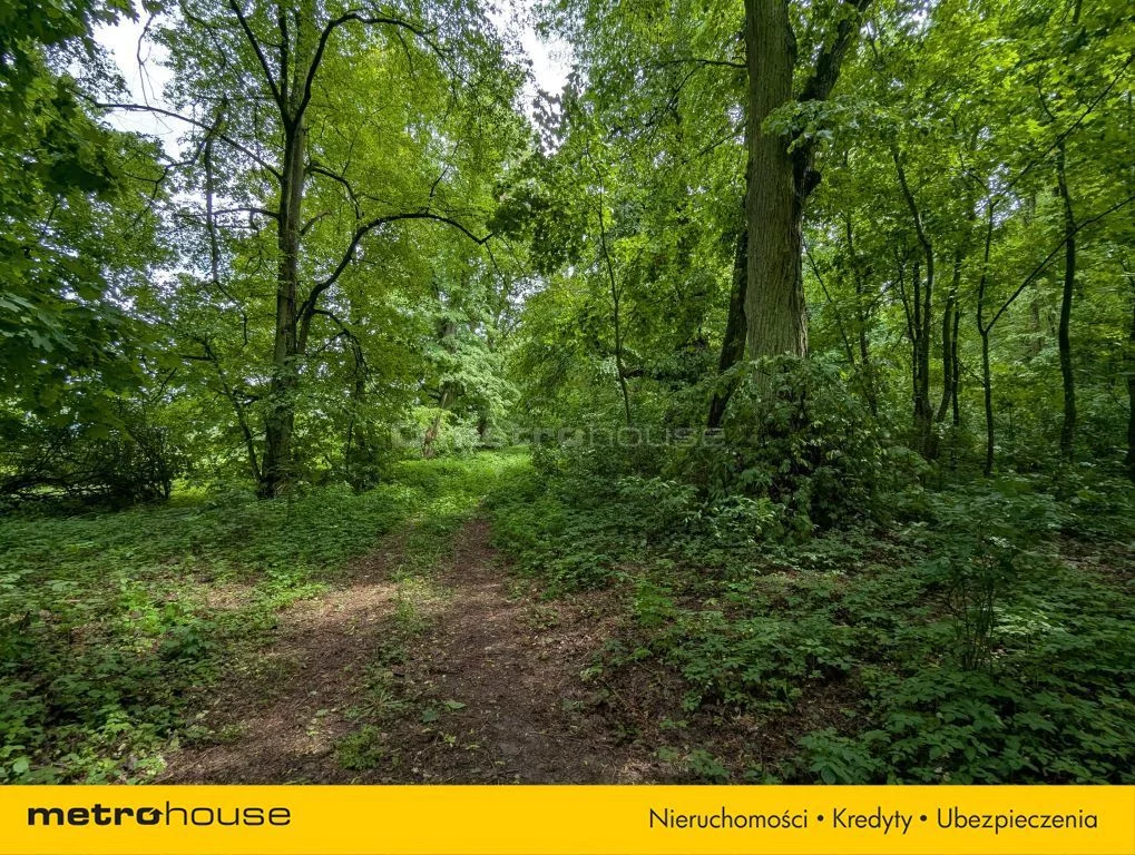 Działka 72 700,00 m², oferta nr , SGCUPY363, Maruszewiec