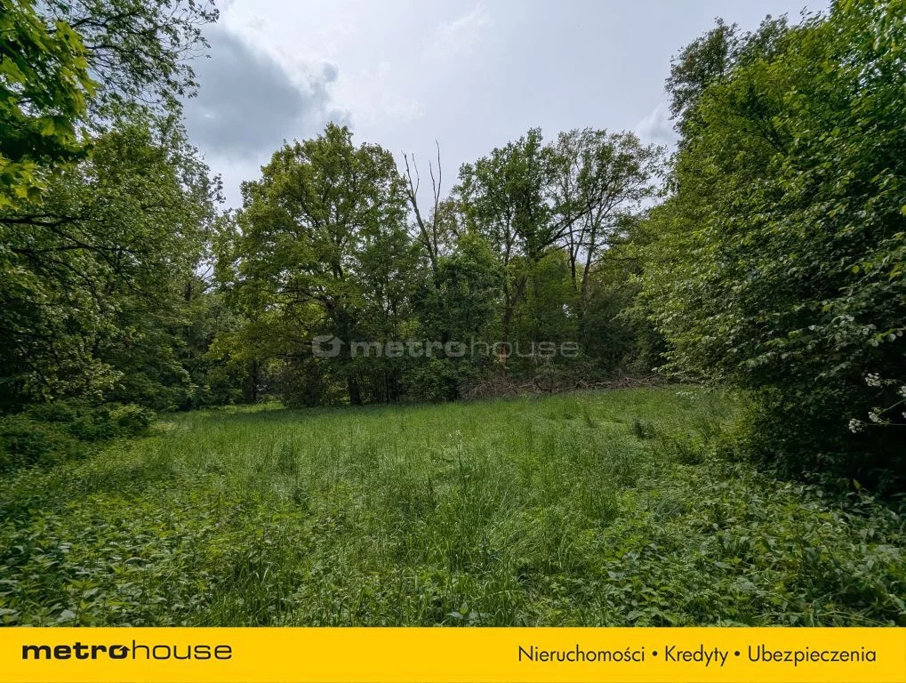 Działka 72 700,00 m², oferta nr , SGCUPY363, Maruszewiec