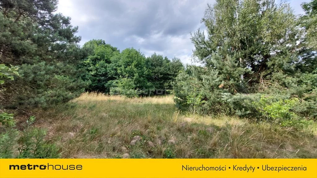 SGLAJY199 - zdjęcie nr 3