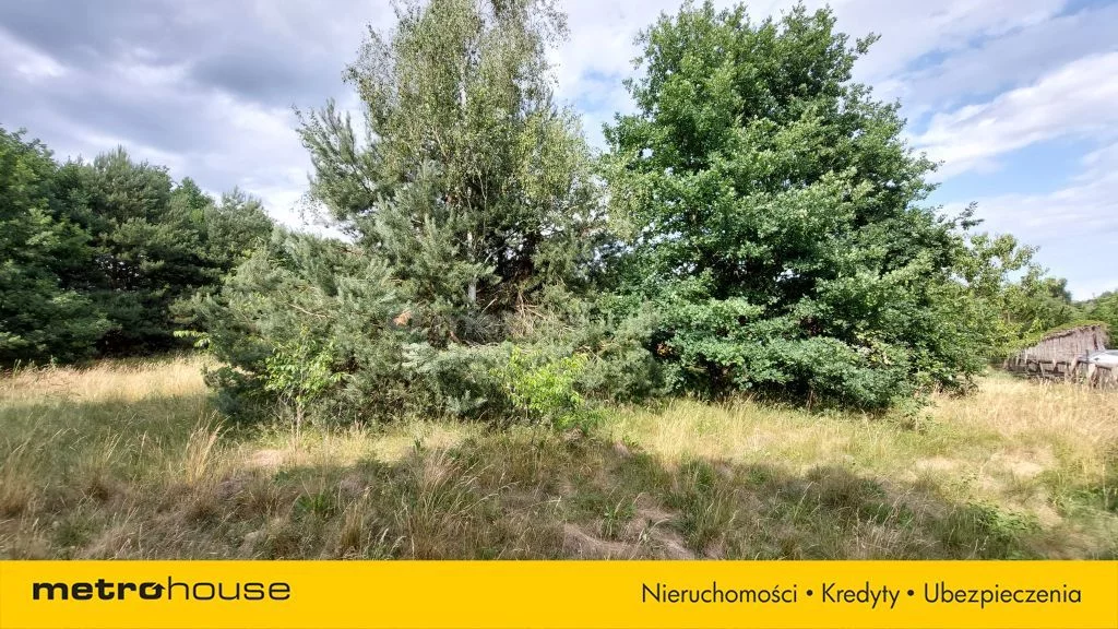 SGLAJY199 - zdjęcie nr 4