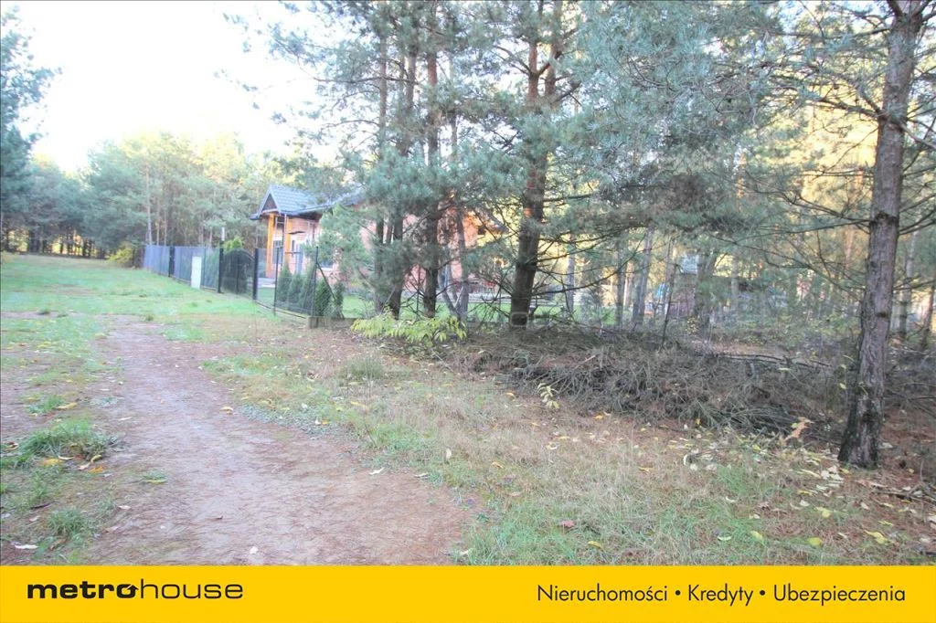KAZU242 - zdjęcie nr 0
