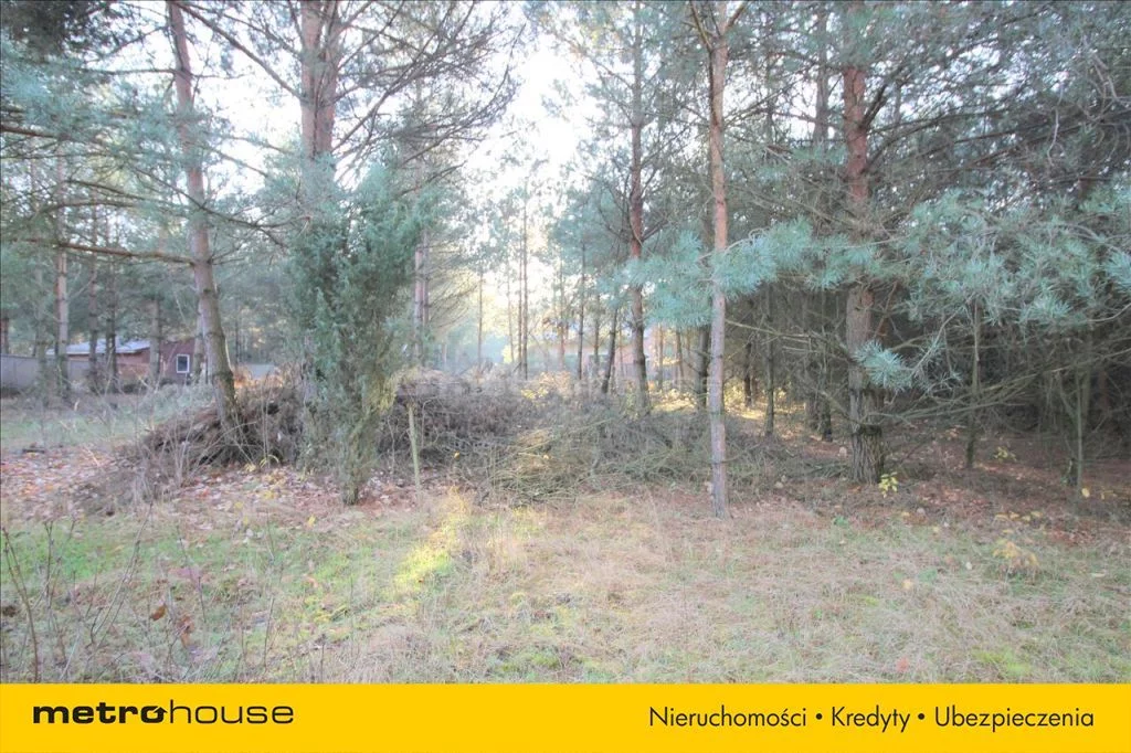 KAZU242 - zdjęcie nr 1