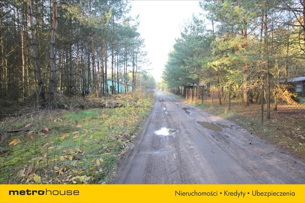 KAZU242 - zdjęcie nr 2