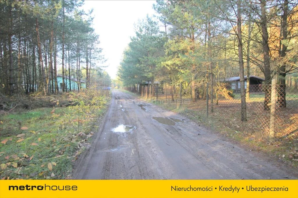 KAZU242 - zdjęcie nr 3